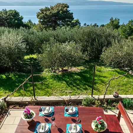 Olive Seaview Oasis Stanici