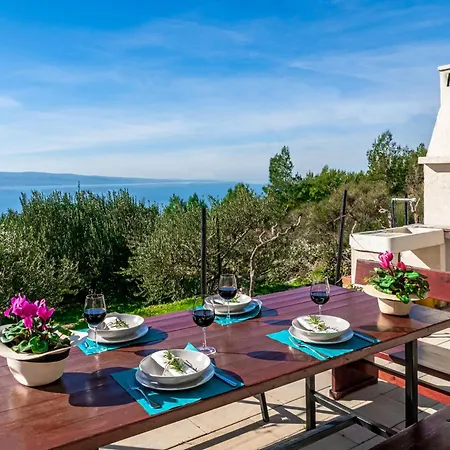 Olive Seaview Oasis * Stanici