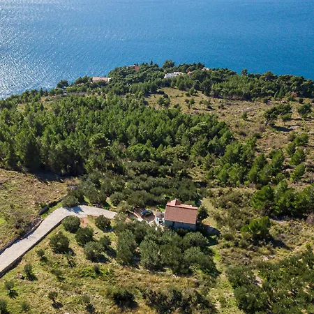 Διαμέρισμα Olive Seaview Oasis
