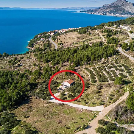 Olive Seaview Oasis Διαμέρισμα