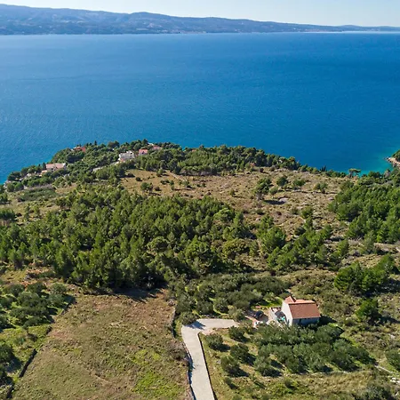 Διαμέρισμα Olive Seaview Oasis *