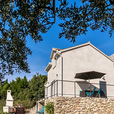 Olive Seaview Oasis