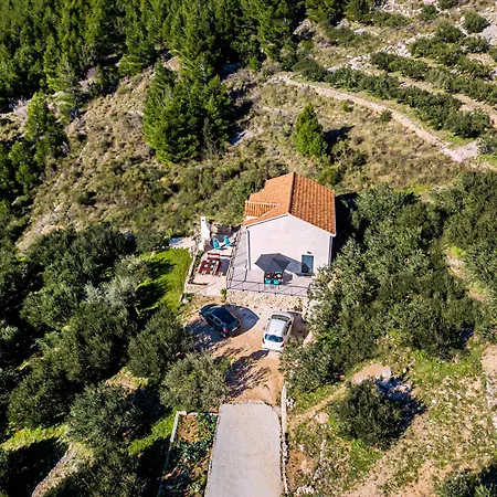 Olive Seaview Oasis Appartement