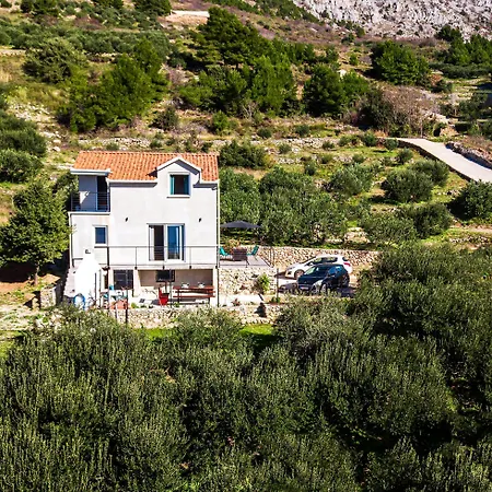 Olive Seaview Oasis